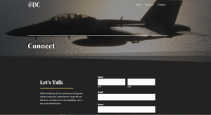 Dronenburg Consulting Patriotism Brand Element 2