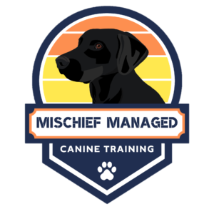 Mischief Managed Canine Training Logo by Delta Design Solutions